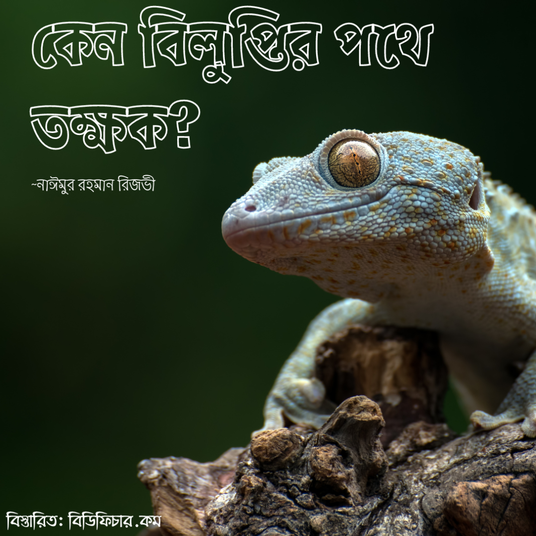 তক্ষক
